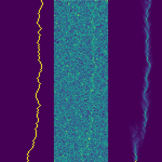 The planted directed polymer; inferring a random walk from noisy images