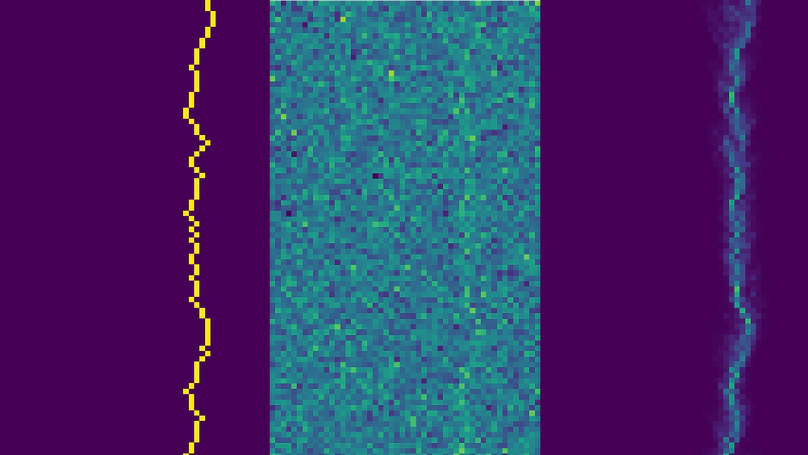 The planted directed polymer; inferring a random walk from noisy images